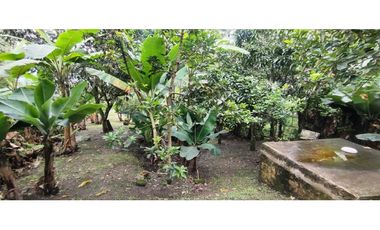 CASALOTE de 1000 M2 en 350 mill en Tena Cund, COL semiurbano