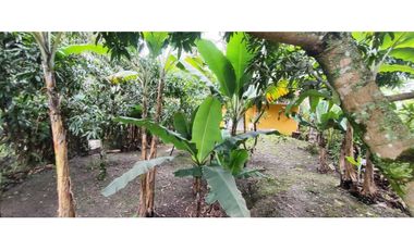 CASALOTE de 1000 M2 en 350 mill en Tena Cund, COL semiurbano