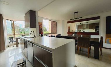 Alquiler Apartamento  Poblado/sector Stas 8979337 DL