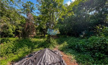 Se vende enorme lote de 10.000 m2, en condominio con escritura