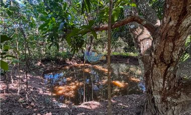 Se vende enorme lote de 10.000 m2, en condominio con escritura