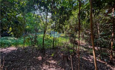 Se vende enorme lote de 10.000 m2, en condominio con escritura