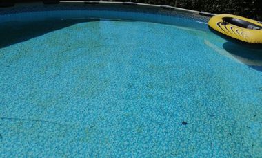 Se vende cómoda casa de un piso con hermosa vista a La Campana UF 7.320.Ang.-