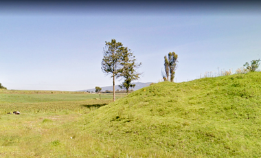 Vendo 320 Has en Almoloya