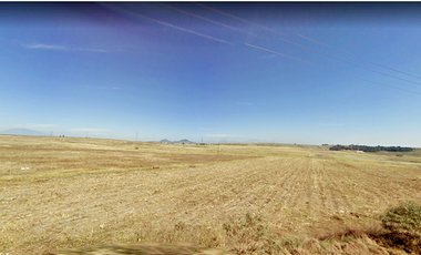 Vendo 320 Has en Almoloya