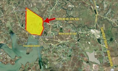 Vendo 320 Has en Almoloya