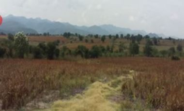 AXOCHIAPAN TERRENO VENTA AXOCHIAPAN MORELOS