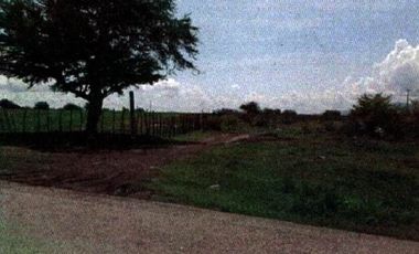 AXOCHIAPAN TERRENO VENTA AXOCHIAPAN MORELOS