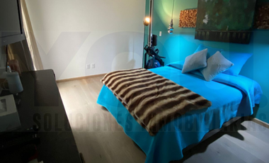 Renta Departamento en Colonia Juárez