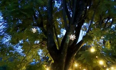 HERMOSA PROPIEDAD EN VENTA EN TEPOZTLÁN