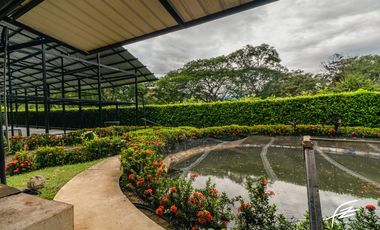FINCA EN VENTA EN SOPETRN, ANTIOQUIA
