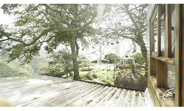 FINCA EN VENTA EN SAN JERONIMO, ANTIOQUIA