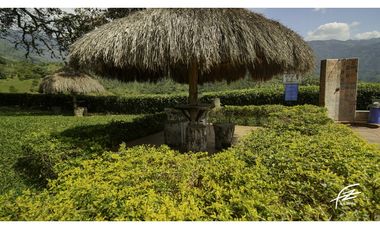 FINCA EN VENTA EN SAN JERONIMO, ANTIOQUIA