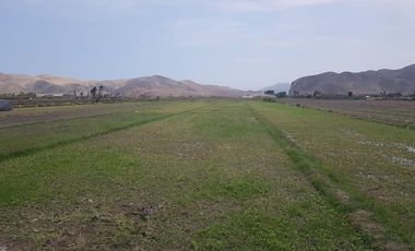 Terreno en venta Mala, Cañete (Cliente acepta consorciarse c/desarrolladores)