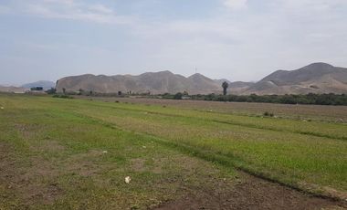 Terreno en venta Mala, Cañete (Cliente acepta consorciarse c/desarrolladores)