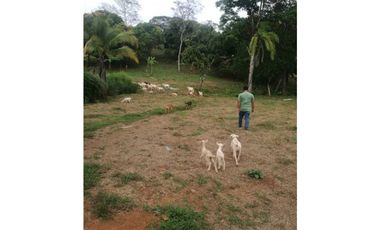VENTA FINCA EN CHILIBRE 2REC+1B