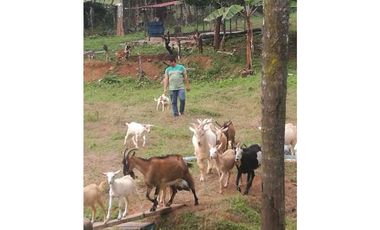 VENTA FINCA EN CHILIBRE 2REC+1B