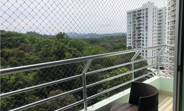 Clayton Park