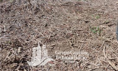 Venta Finca en Querevalo