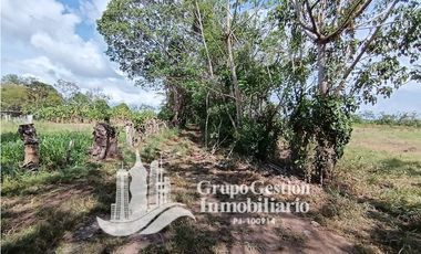 Venta Finca en Querevalo