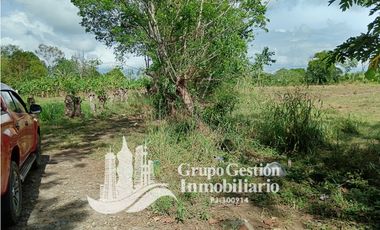 Venta Finca en Querevalo