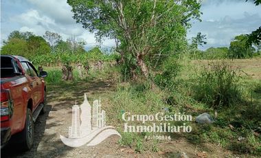 Venta Finca en Querevalo