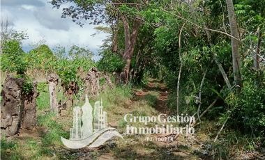 Venta Finca en Querevalo