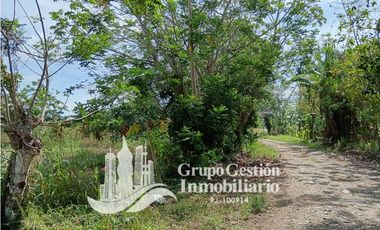 Venta Finca en Querevalo