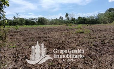 Venta Finca en Querevalo