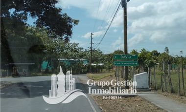 Venta Finca en Querevalo