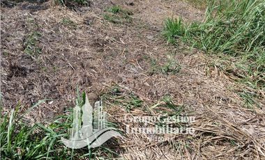 Venta Finca en Querevalo