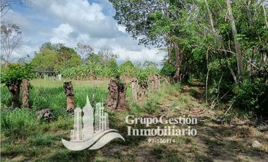 Venta Finca en Querevalo