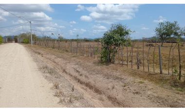 PENONOME / TERRENO / 3.538.81M2