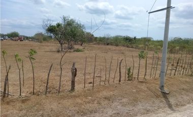 PENONOME / TERRENO / 3.538.81M2