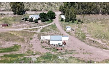 VENTA DE FINCA DE 595 HAS - SAN MARTIN, MENDOZA