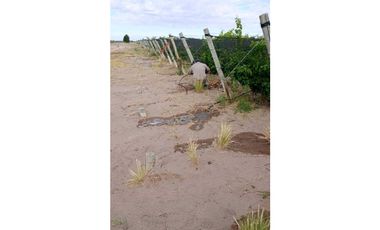 VENTA DE FINCA DE 595 HAS - SAN MARTIN, MENDOZA