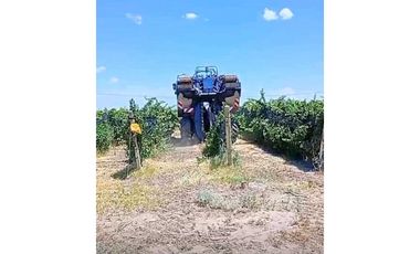 VENTA DE FINCA DE 595 HAS - SAN MARTIN, MENDOZA