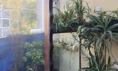 12 y 158- CASA + LOCAL EN BERISSO