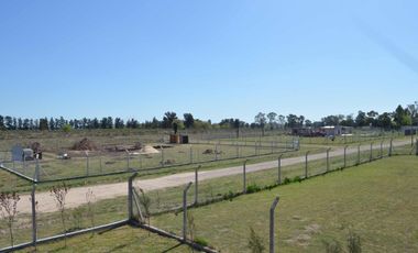 Loteo residencial Libertad Merlo 2000m APTO FINANC