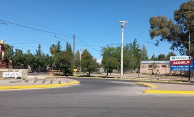 MAZA Y PALMA