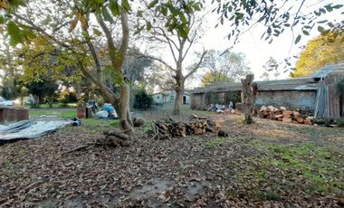 10 HECTAREAS EN VENTA EN LA PEREGRINA - CASA Y GALPON PARA RECICLAR.