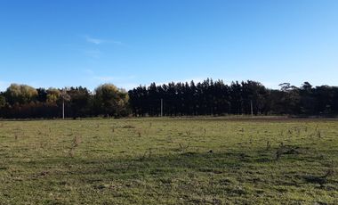 10 HECTAREAS EN VENTA EN LA PEREGRINA - CASA Y GALPON PARA RECICLAR.