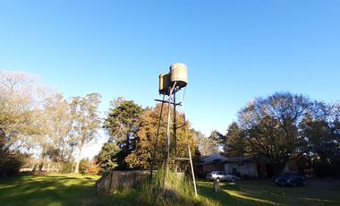 10 HECTAREAS EN VENTA EN LA PEREGRINA - CASA Y GALPON PARA RECICLAR.