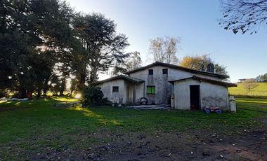 10 HECTAREAS EN VENTA EN LA PEREGRINA - CASA Y GALPON PARA RECICLAR.