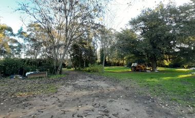 10 HECTAREAS EN VENTA EN LA PEREGRINA - CASA Y GALPON PARA RECICLAR.