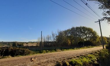 10 HECTAREAS EN VENTA EN LA PEREGRINA - CASA Y GALPON PARA RECICLAR.