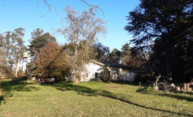 10 HECTAREAS EN VENTA EN LA PEREGRINA - CASA Y GALPON PARA RECICLAR.
