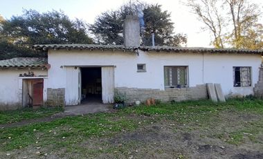10 HECTAREAS EN VENTA EN LA PEREGRINA - CASA Y GALPON PARA RECICLAR.