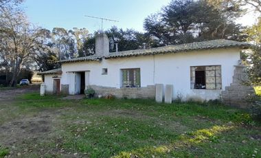 10 HECTAREAS EN VENTA EN LA PEREGRINA - CASA Y GALPON PARA RECICLAR.