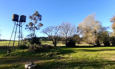 10 HECTAREAS EN VENTA EN LA PEREGRINA - CASA Y GALPON PARA RECICLAR.
